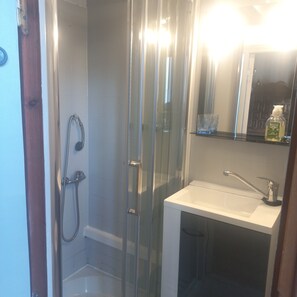 Shower, hair dryer, towels, toilet paper - House with studio 8people (Linxe)