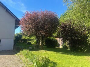 A residential garden with a large tree, a white building, and a stone wall.
