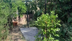 Un jardín con un pérgola, un muro de piedra y diversas plantas.