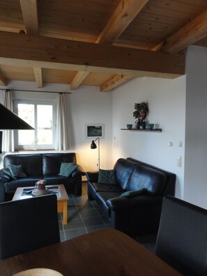 TV, fireplace - Waterfront location with a stunning view of the water (Rankwitz)