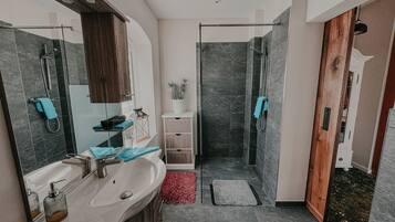 Shower, towels, toilet paper