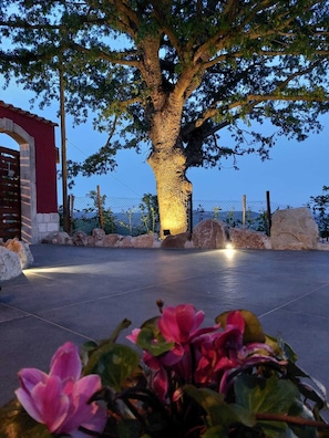 A tree with a unique lighting feature, a paved pathway, and a stone structure. - La Casa nella Roccia (Villanova del Battista)
