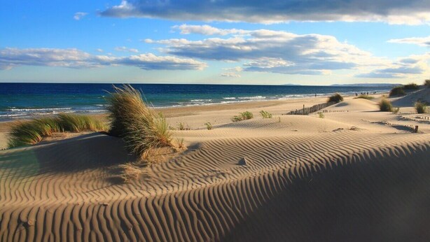 A sandy beach with dunes and a clear view of the ocean. - L'Eden - Mobile home 2 bedrooms 6 people - Swimming pool Air conditioning - Campsite 5⭐️ (Le Grau-du-Roi)