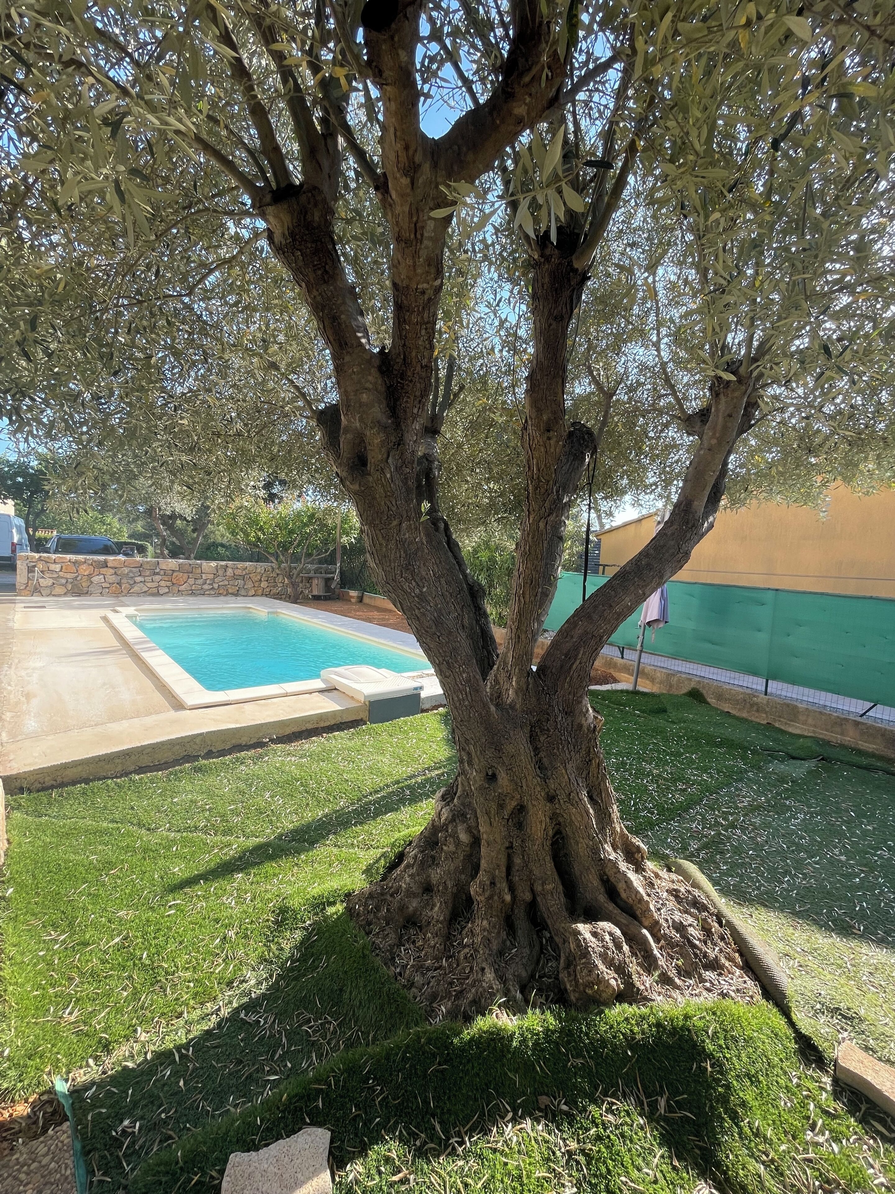 Piscina a l'aire lliure 