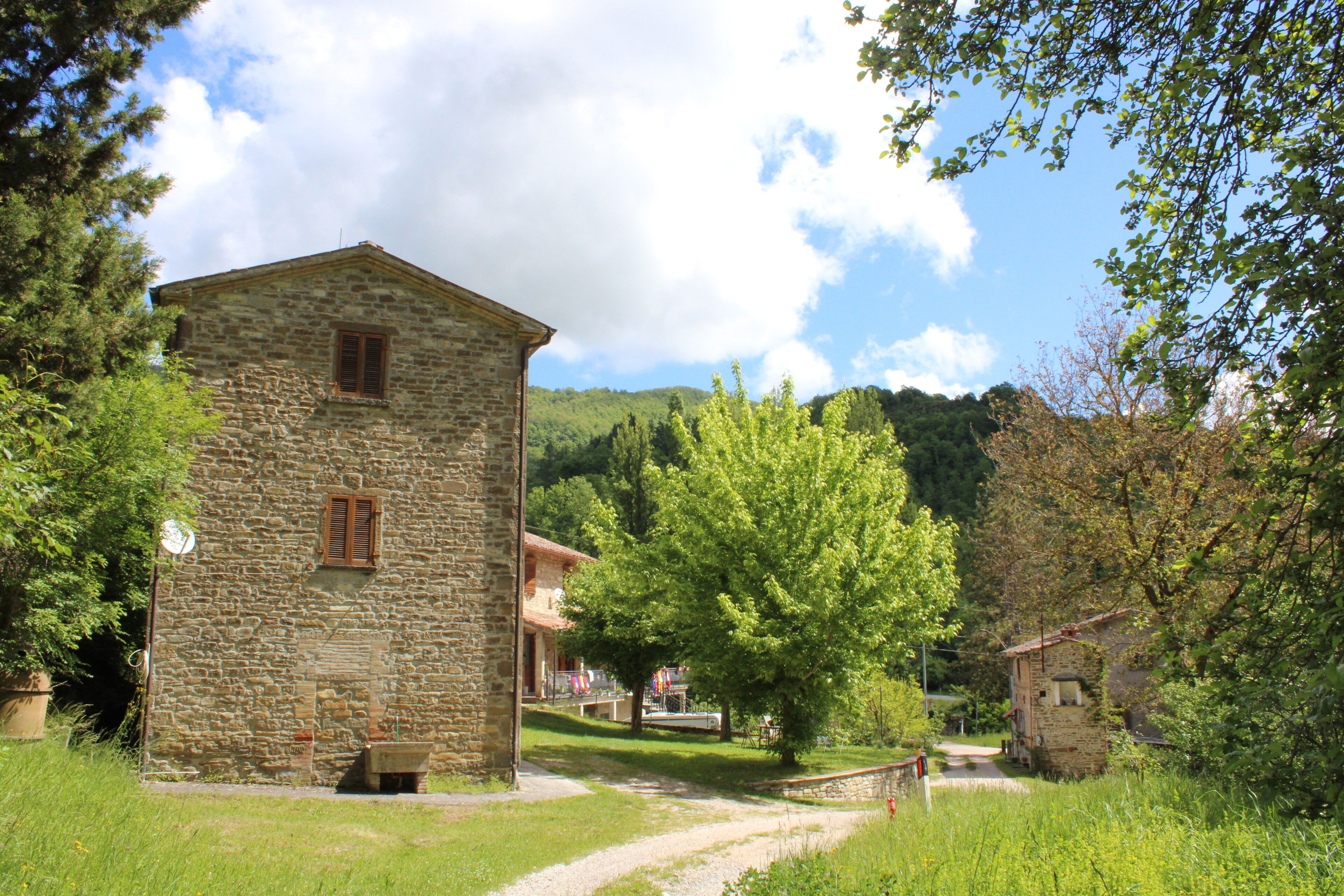 Un bâtiment en pierre doté d’une fenêtre et d’une porte, entouré de verdure et sous un ciel dégagé.