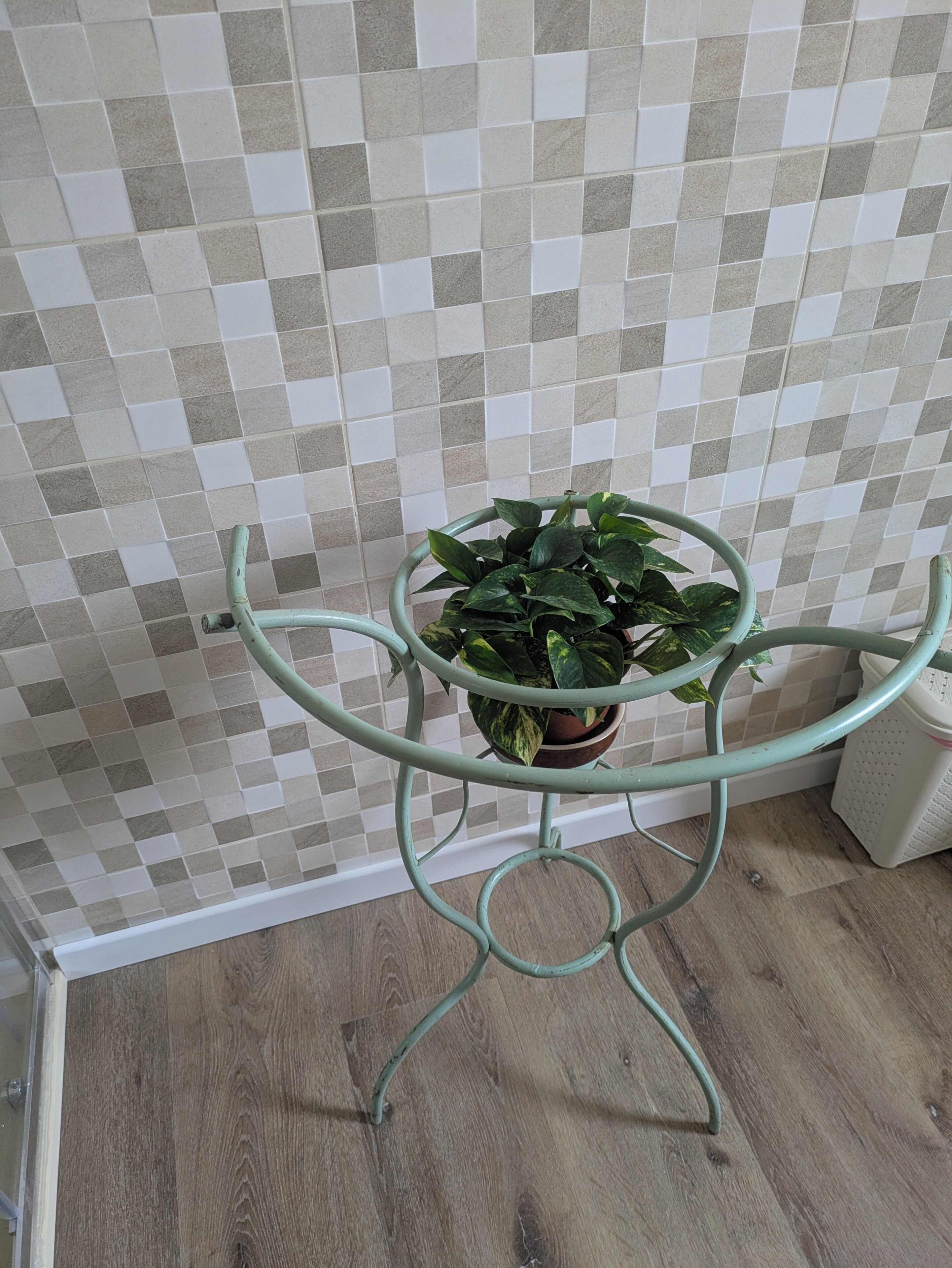 A corner with a checkered tile wall, a wooden floor, and a metal plant stand with a potted plant.