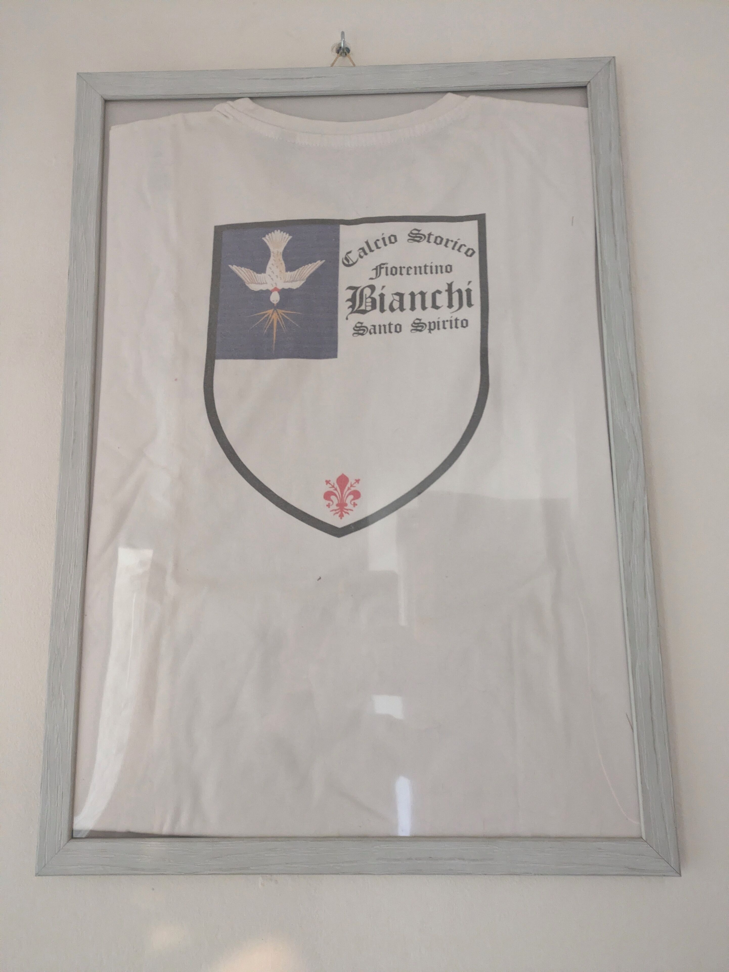 A framed emblem with a dove, text, and a fleur-de-lis.