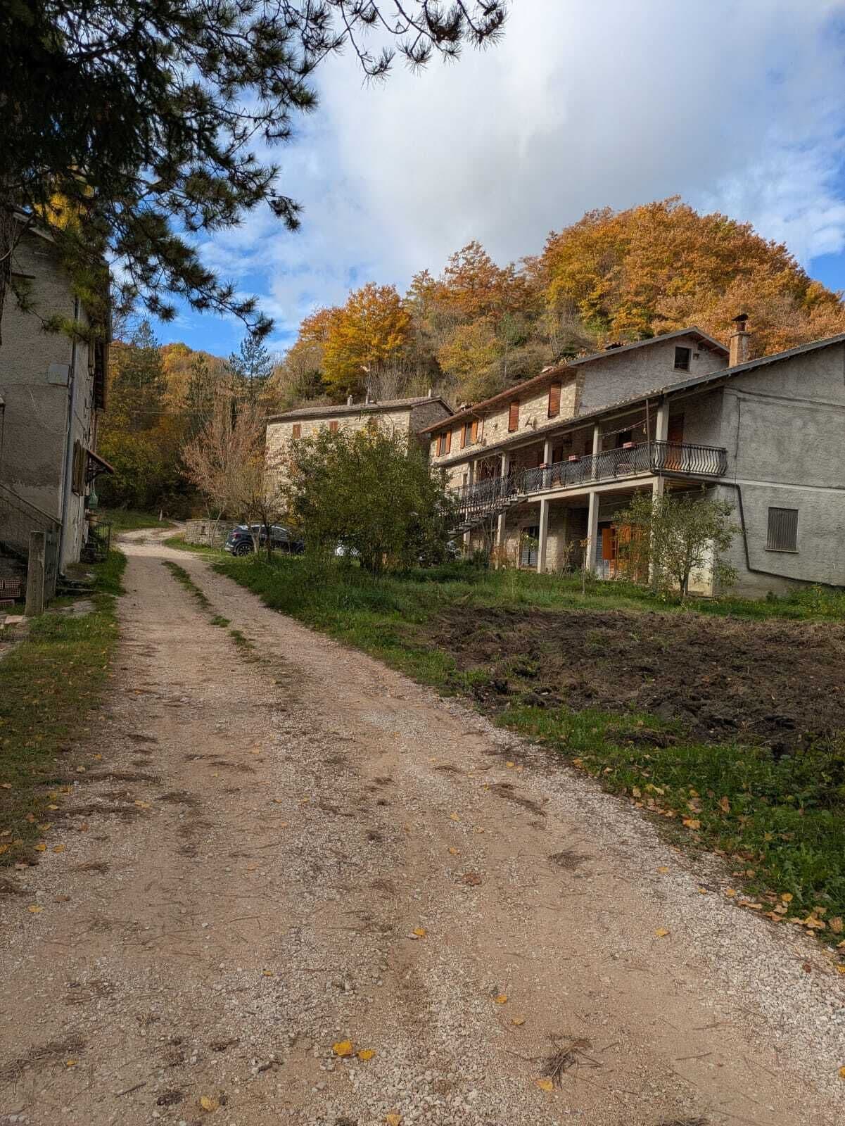 Esterni