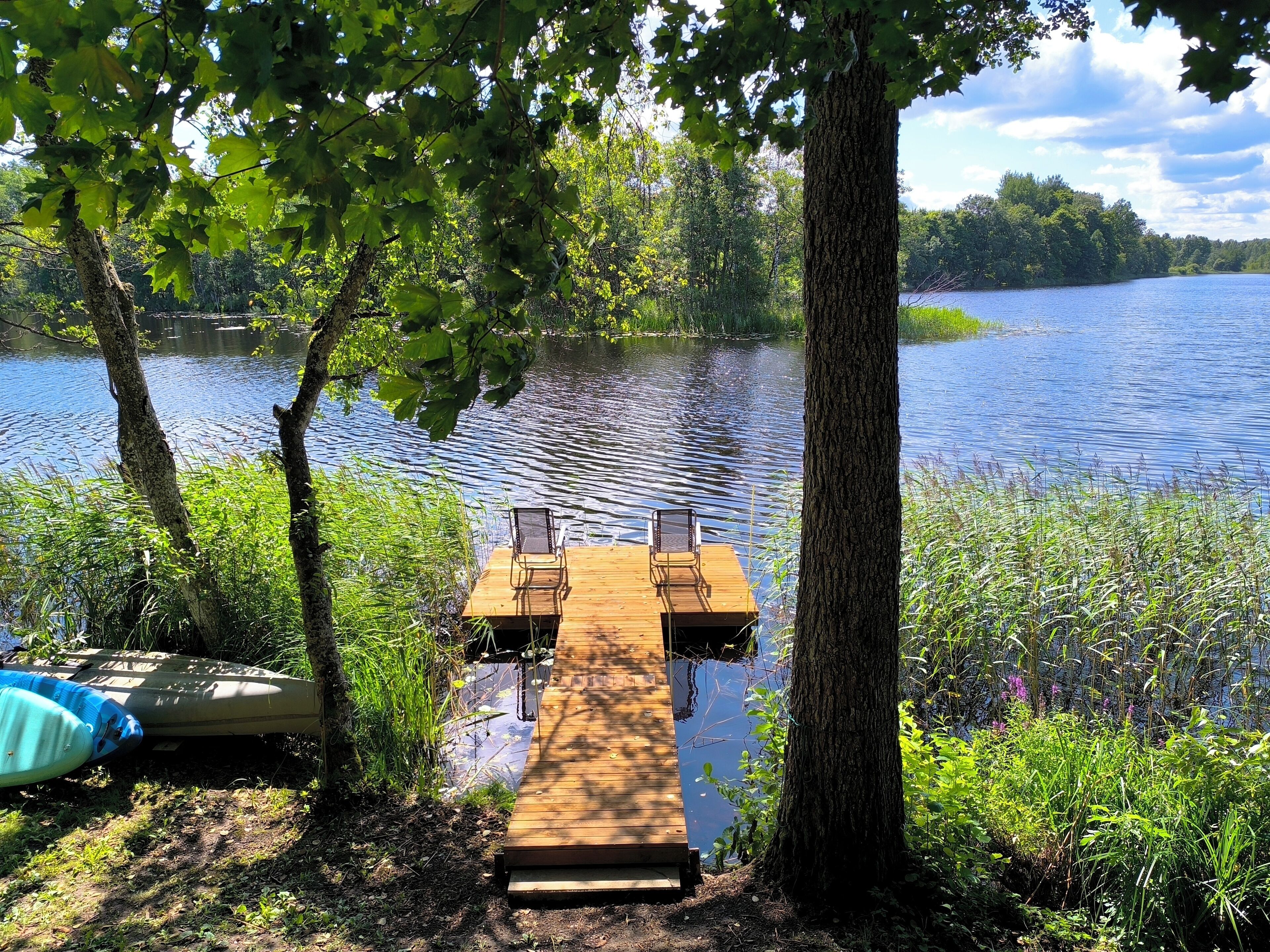 Une jetée en bois s’étendant sur un lac paisible, entourée d’une végétation luxuriante et d’arbres.