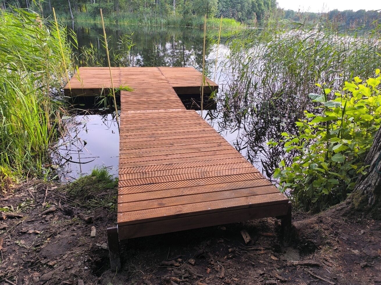 A wooden dock extending into a body of water, surrounded by vegetation.