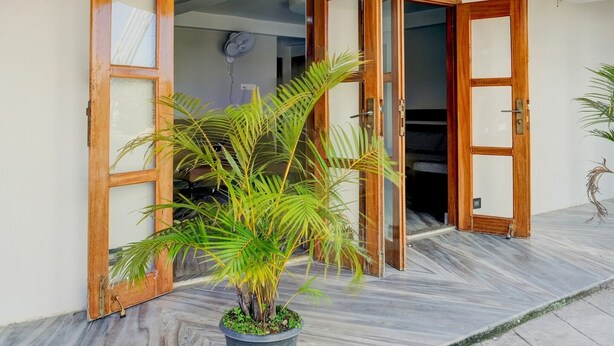 Une pièce avec une porte en bois, un ventilateur de plafond et une plante en pot.