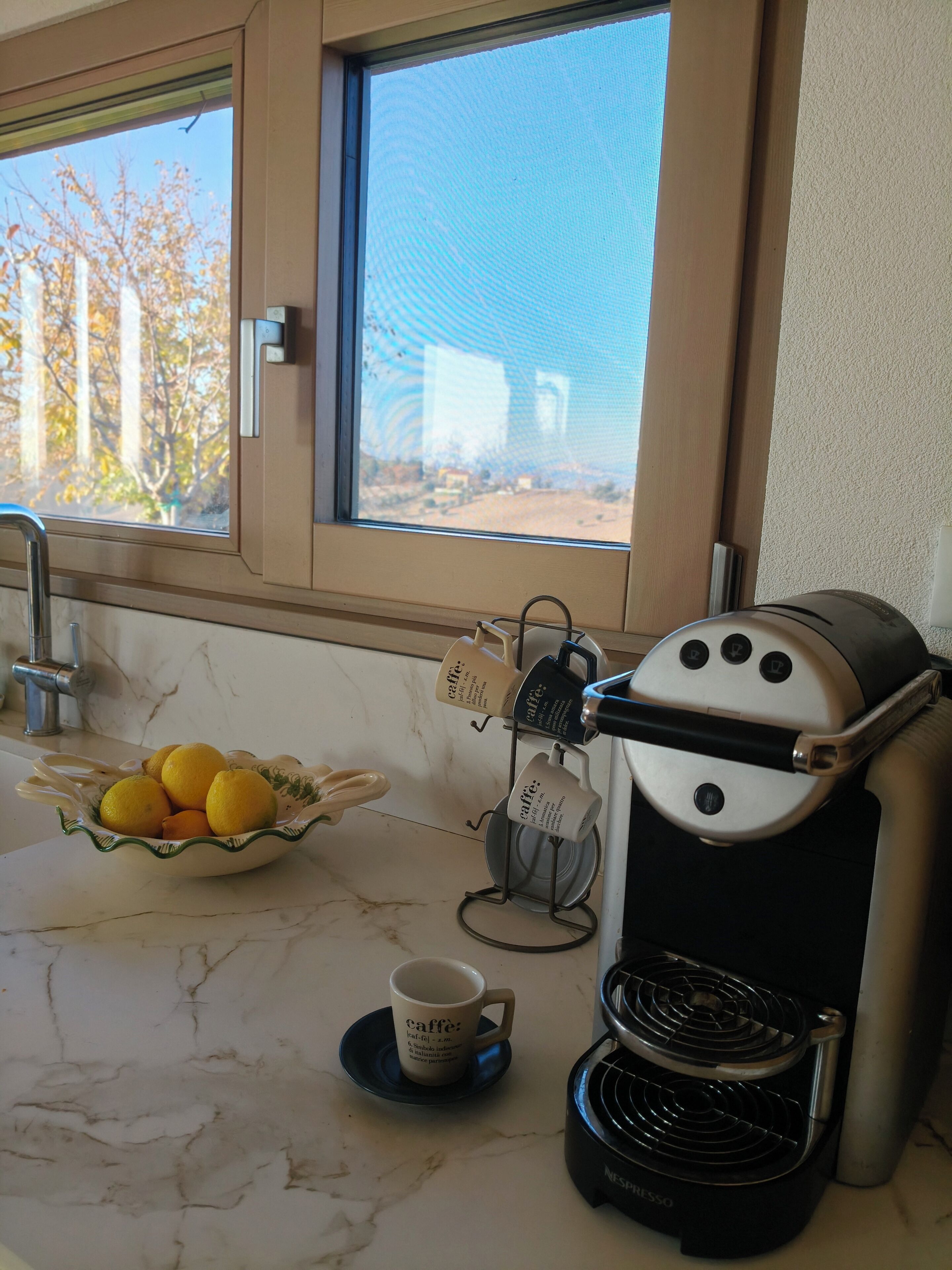 Et køkken med kaffemaskine, en skål med citroner og et vindue med udsigt til træer.