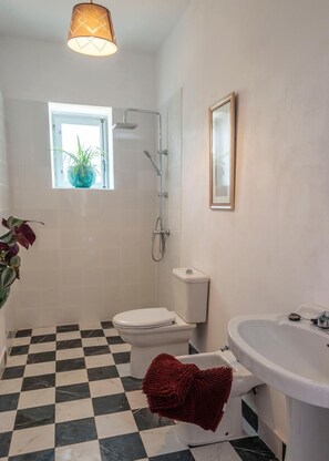 Hair dryer, bidet, towels, soap