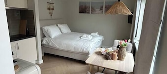 Duinpluim, gratis parkeren