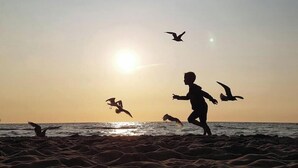 La silhouette d’une personne et d’oiseaux se découpant sur le ciel d’un coucher de soleil, avec une plage en arrière-plan.