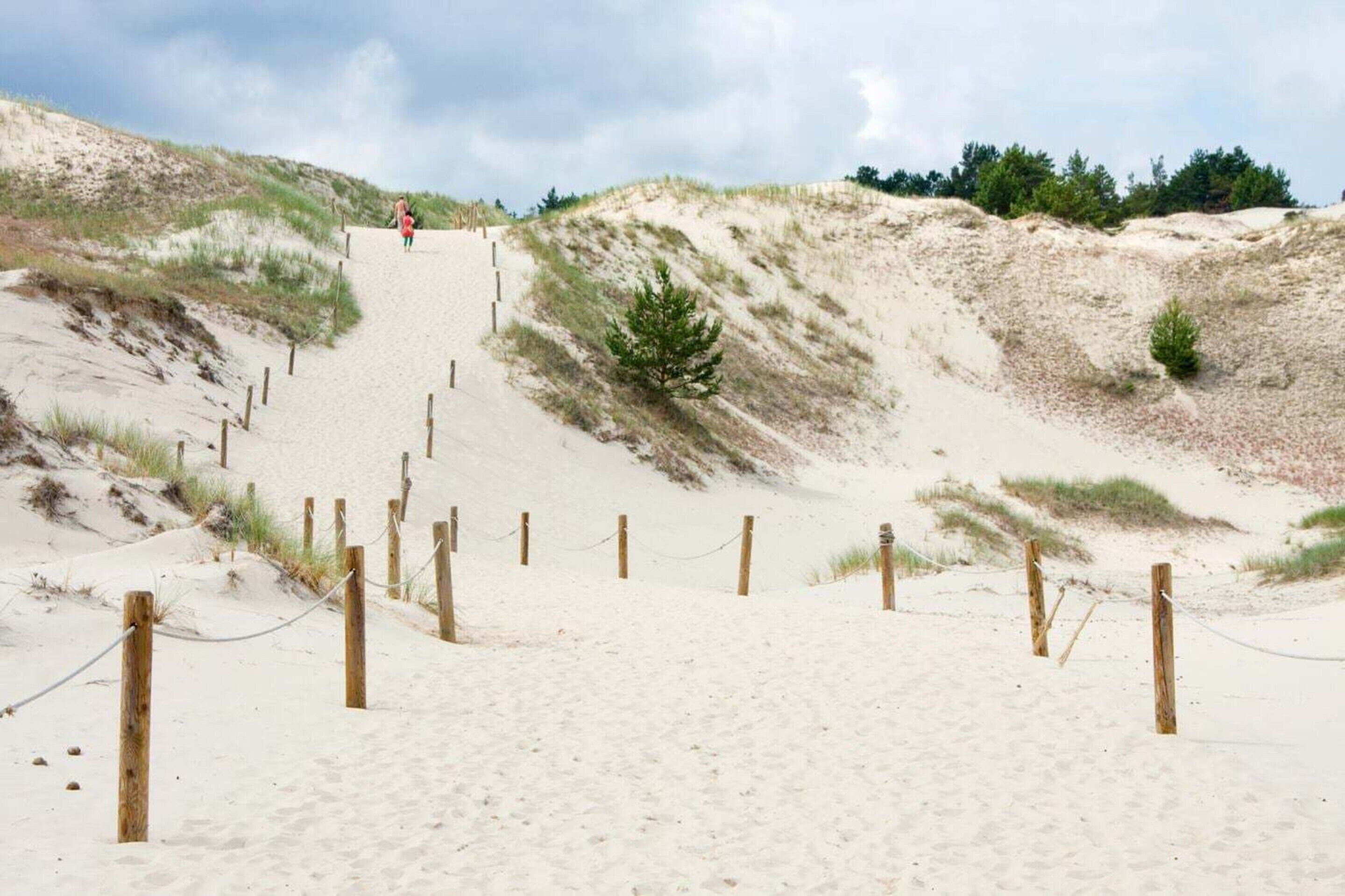 Ein sandiger Strand mit einer Holztreppe, die auf eine Düne führt, umgeben von Vegetation.