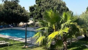 Piscina rodeada por palmeiras e um muro.