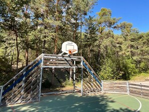 A basketball court with a hoop, surrounded by a fence and trees.