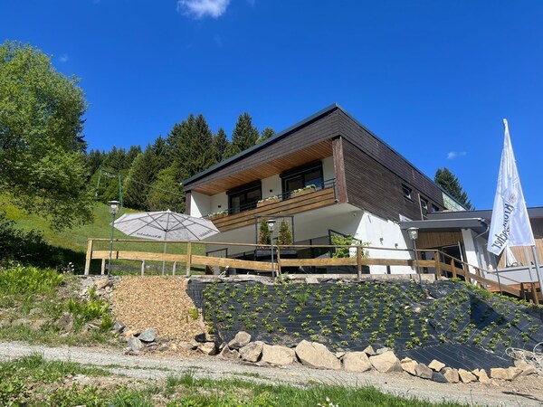 Gemutliche Kombination Aus Zwei Apartments - Niedersfeld