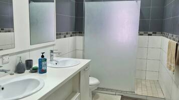 Ducha, secador de pelo, bidé y toallas
