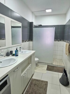 Shower, hair dryer, bidet, towels