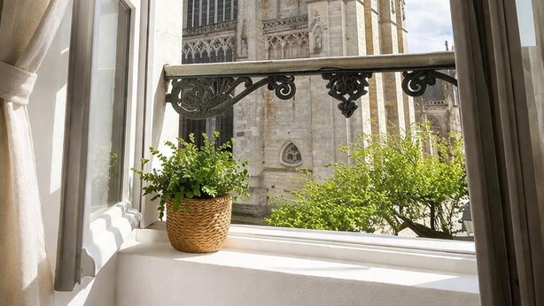 Uma janela com vista para uma catedral em estilo gótico, um vaso de planta no parapeito e um corrimão de varanda.