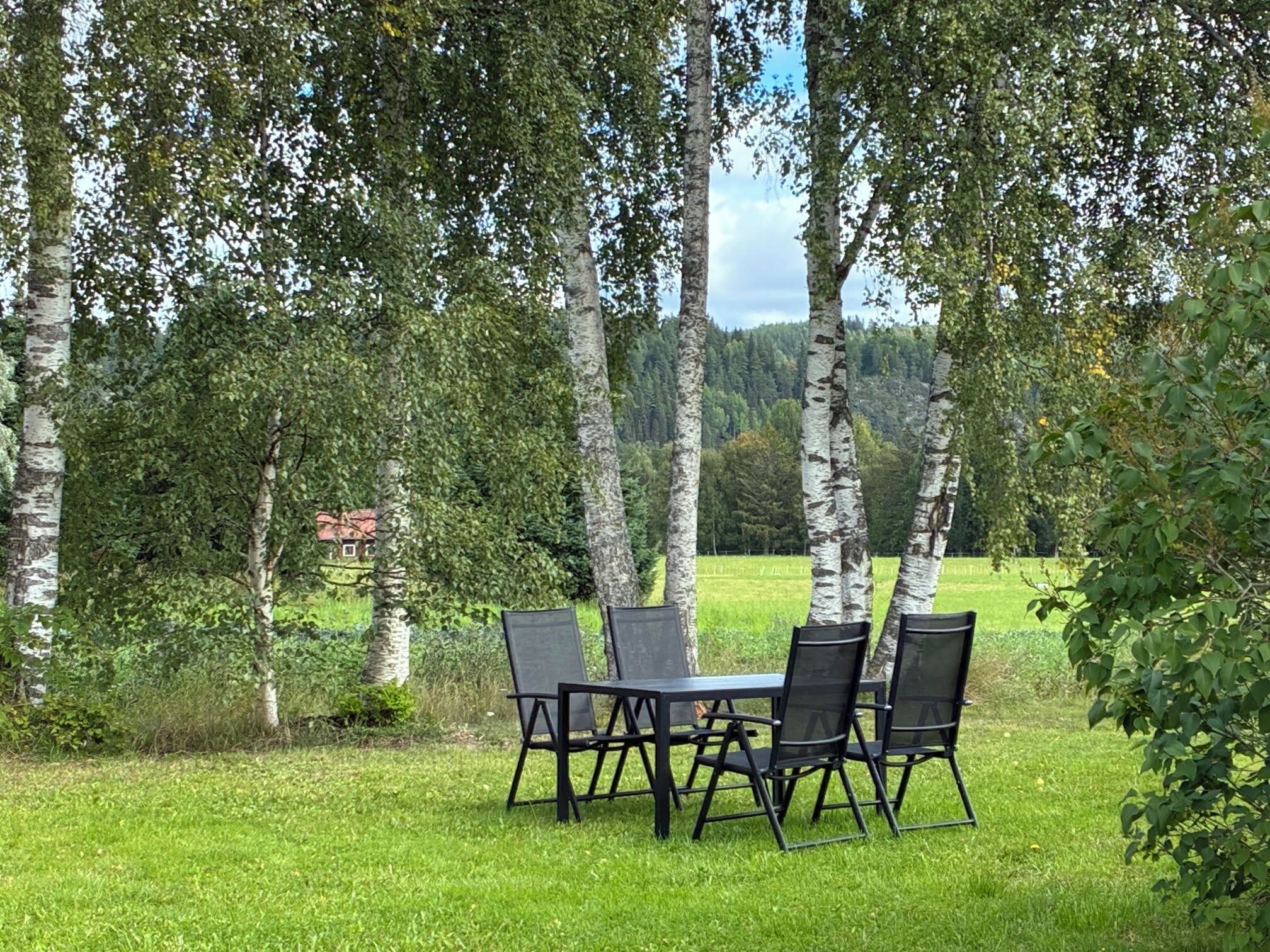 An outdoor seating area with a table and chairs, surrounded by birch trees and a grassy field.
