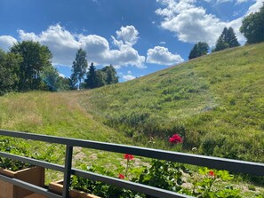 House | Property grounds - Kleines Studio in Niedersfeld an der Skipiste (Winterberg)