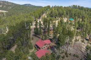 Exterior - Hilltop Log Cabin Retreat with Hot Tub & Direct Trail Access Near Lead (Lead)