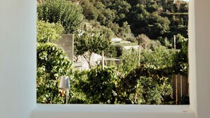 A view through an arched window of a vineyard with trees and a hillside. - Borgo Corbaro - Exclusive Retreat  (Forio)