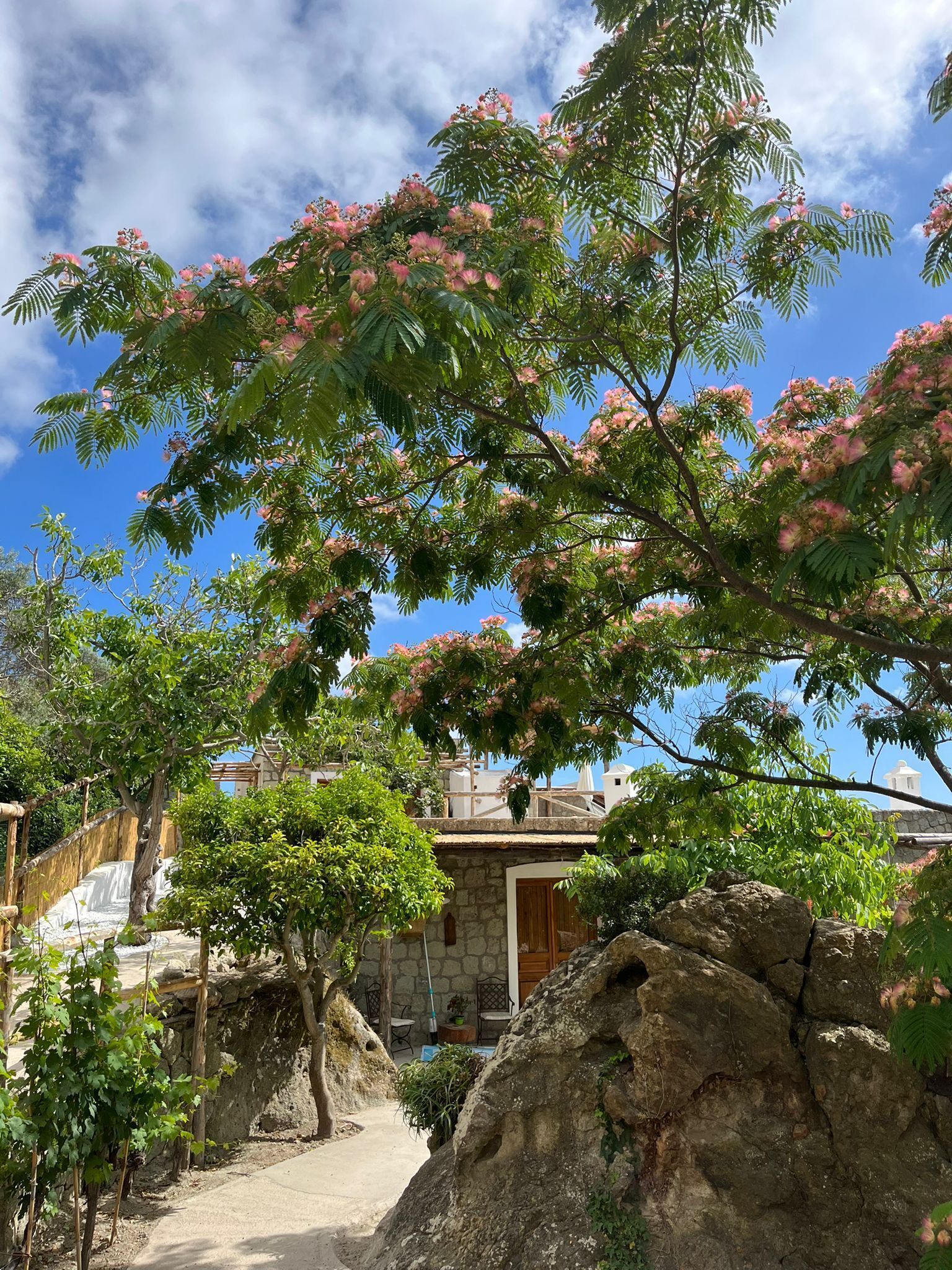 Premium Double Room, Sea View | Exterior