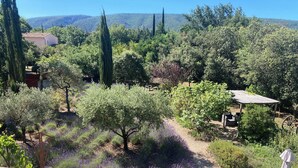 Ein Garten mit verschiedenen Bäumen, einer Pergola und einem rustikalen Gebäude.