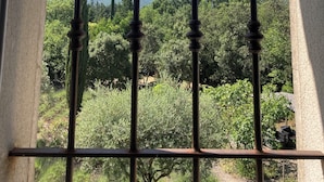 Ein Fenster mit einem Metallgitter, einem gebogenen Steinrahmen und Blick auf eine üppige Landschaft mit Bäumen und weiter Wasserfläche.