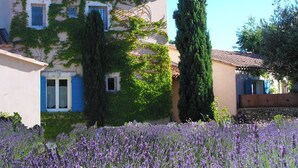 Ein Gebäude mit einem Ziegeldach, blauen Fensterläden und einem Garten mit Lavendel.