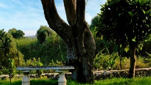 A stone bench under a large tree in a grassy area with a stone wall and greenery in the background. - House Sogni di Giove With Private Pool (Syracuse)