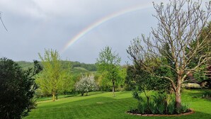 Een weelderige tuin met een regenboog, bomen en een gazon.