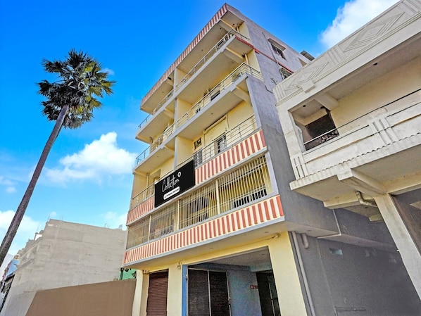 Un immeuble à plusieurs étages doté de balcons, une enseigne indiquant « Collection » et un palmier au premier plan.