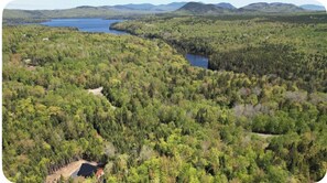 Aerial view - Cozy & Private 2-bedroom cabin in  Greenville,Me (Greenville)