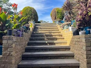 Property grounds - Sweet home in Goodwin Hill (MacGregor)