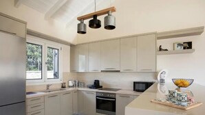 Eine moderne Küche mit Edelstahlgeräten, einer Holz Arbeitsplatte und einer Pendelleuchte.