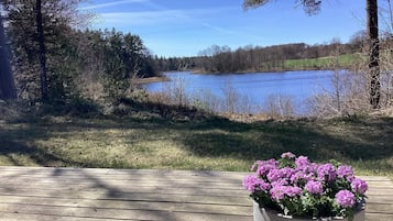 House | Property grounds