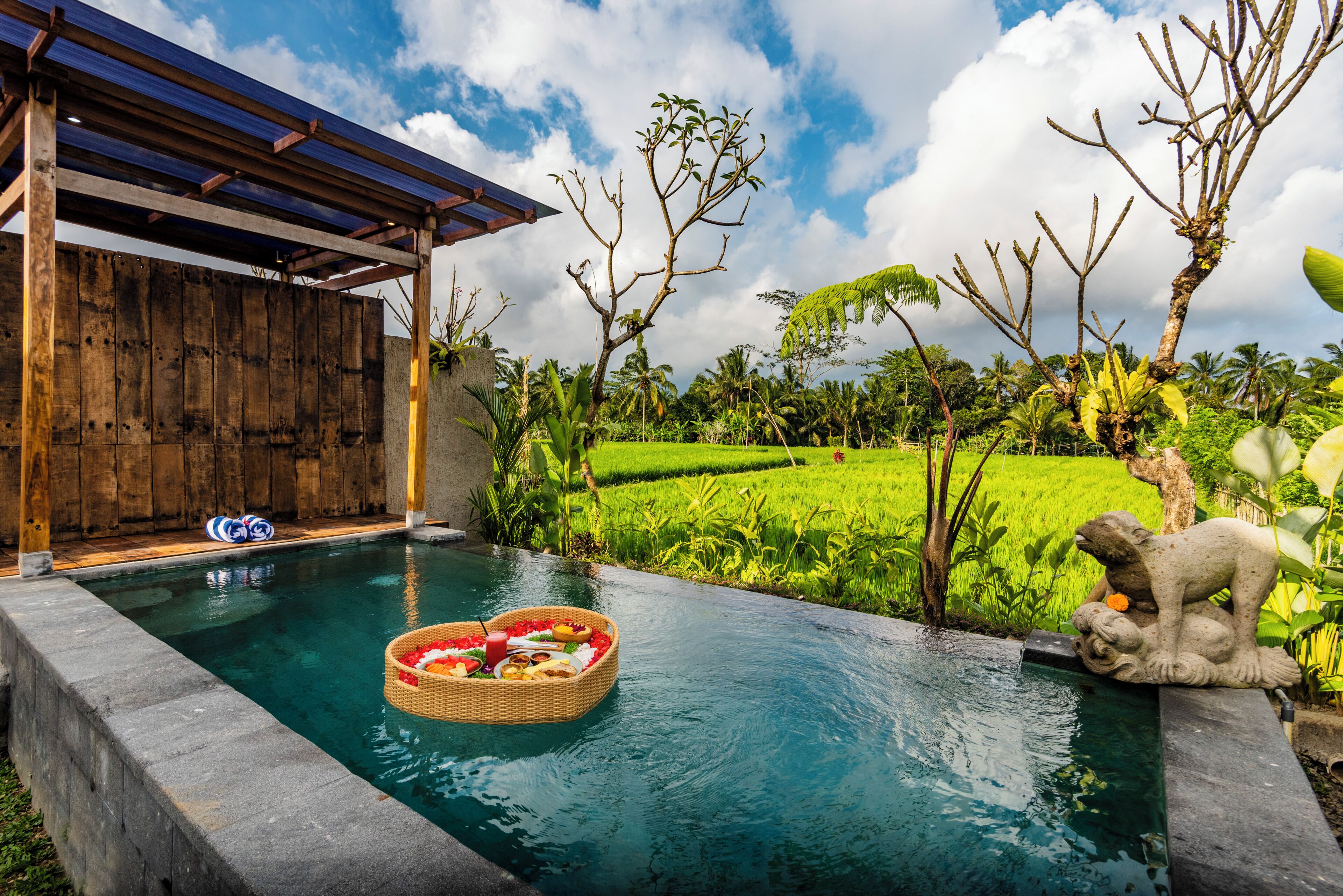 Luxury Villa, 1 King Bed, Private Pool, Garden View | Pool | Outdoor pool