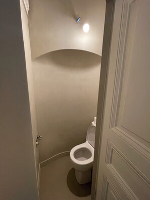 Douche, séchoir à cheveux, serviettes fournies, savon