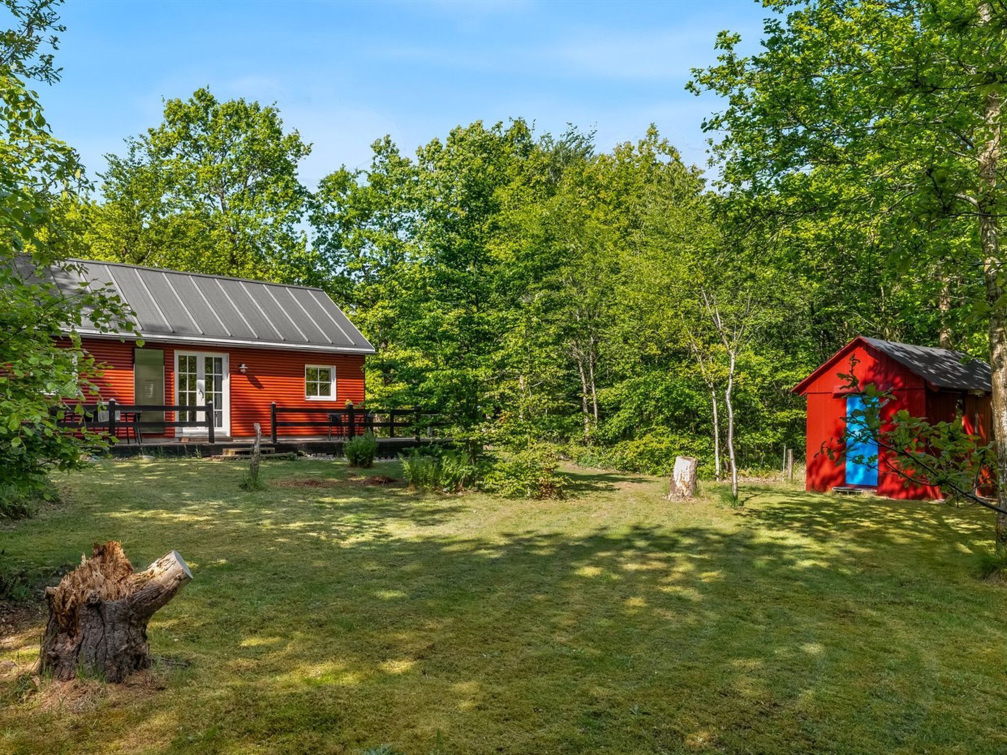 A red cabin with a metal roof, surrounded by a grassy yard and dense trees.