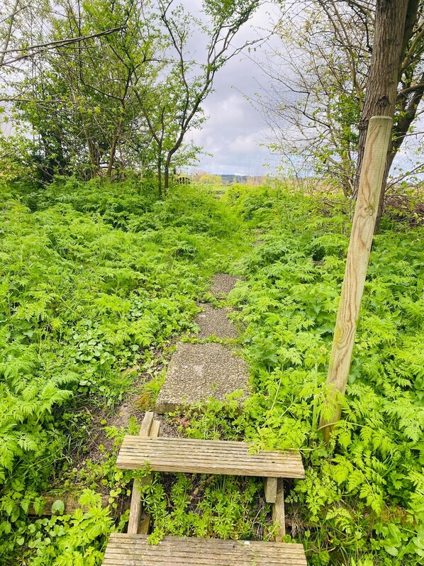 A wooden pathway leading through a lush green area with dense foliage and trees.