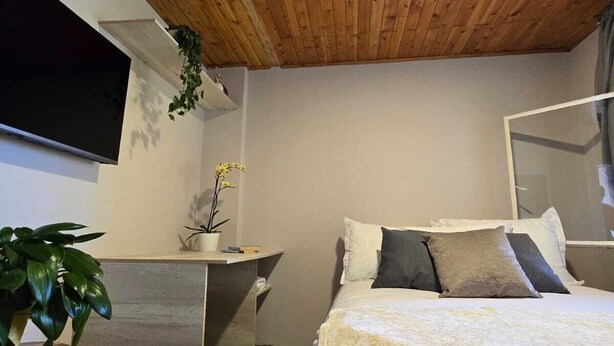 A bedroom with a wooden ceiling, a bed with white bedding, a bedside table with a plant, and a TV mounted on the wall.