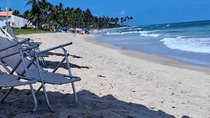 Ein Strand mit Liegestühlen, Sonnenschirmen, Palmen und dem Meer.