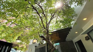Ein Baum mit hängenden Leuchten vor einem Gebäude mit geneigtem Dach und einer sichtbaren Tür.