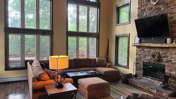 Smart TV, fireplace, books