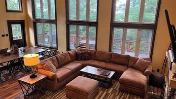 Smart TV, fireplace, books